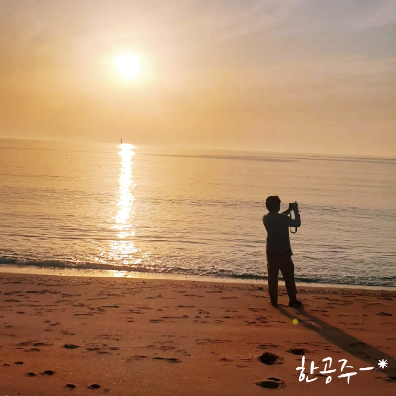 태광수산 이미지