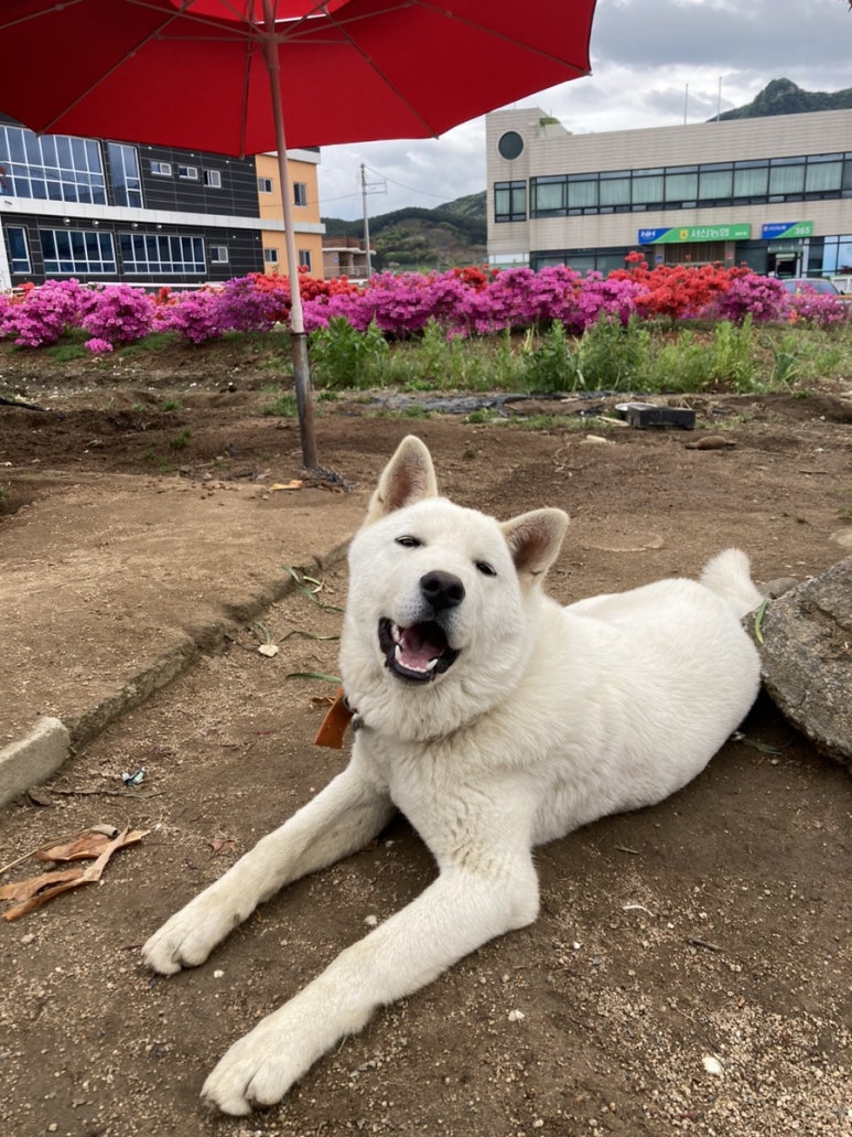 영구반점 이미지