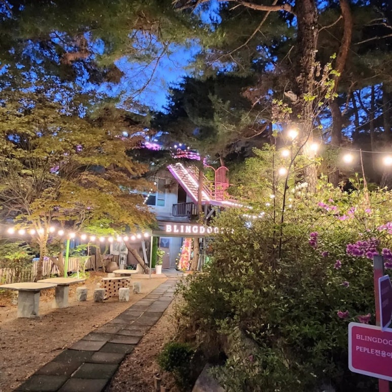 블링독793 이미지