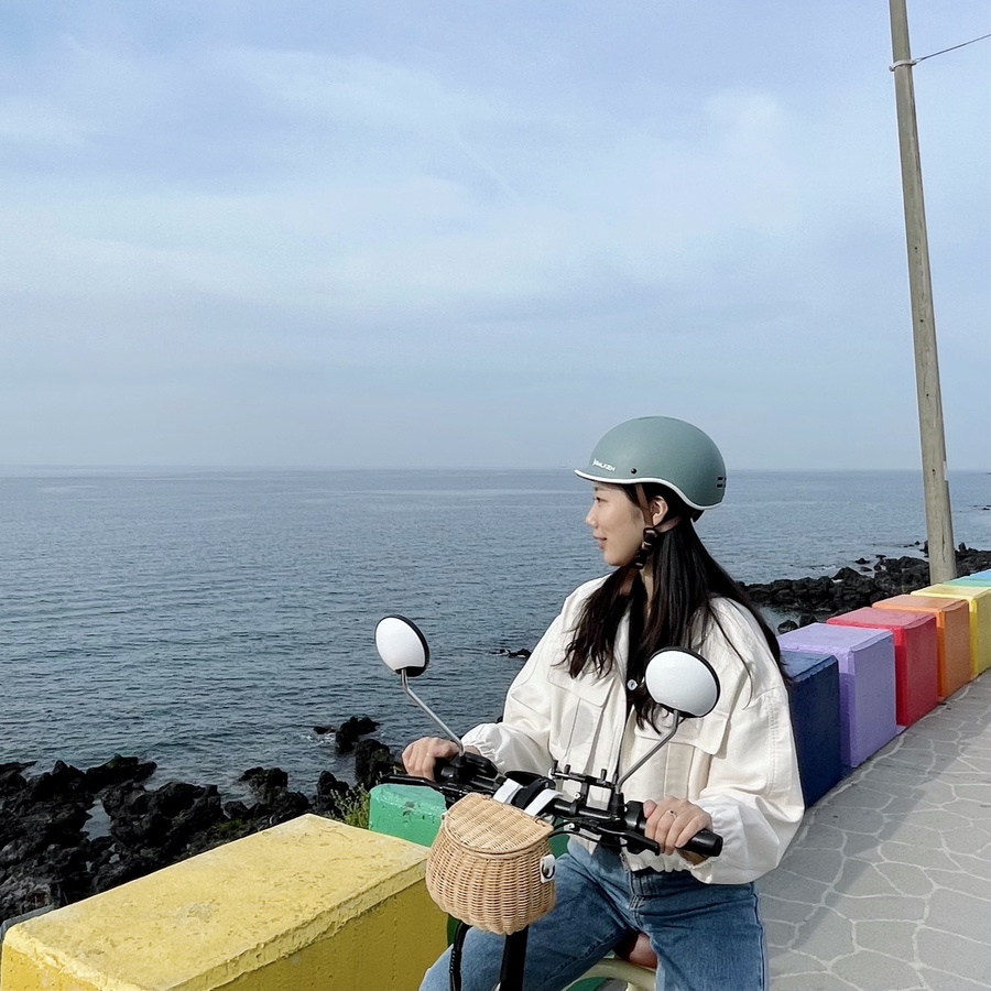 이호전기 이미지