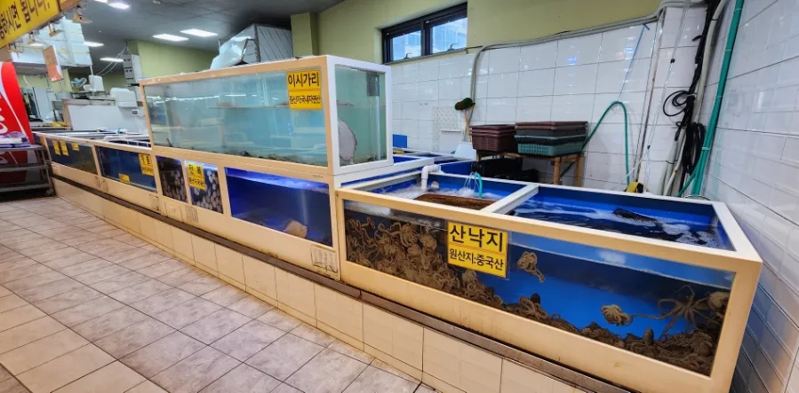 뽀바바 이미지