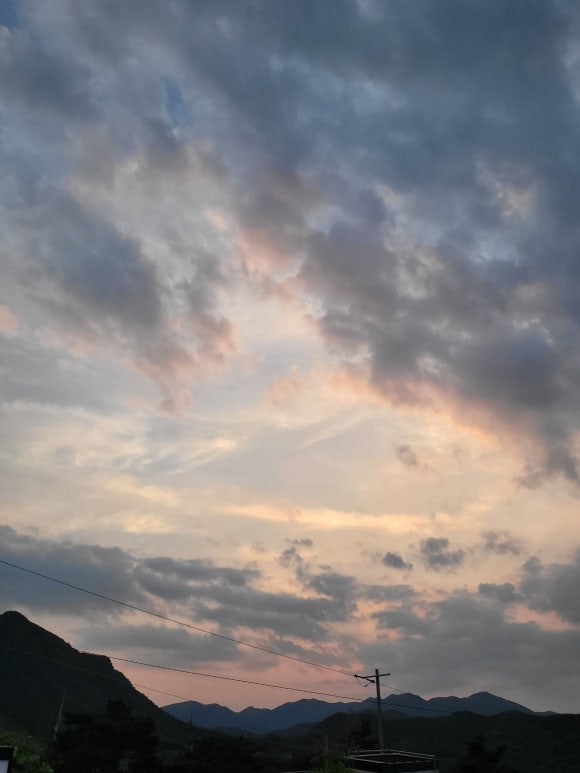 선셋101 이미지