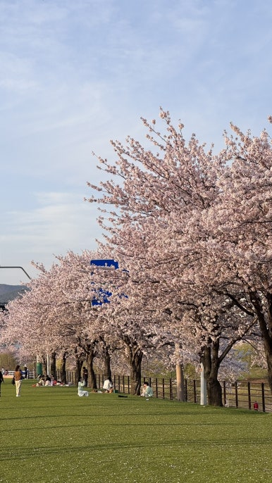 밍주 이미지