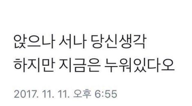 청년피크닉 이미지
