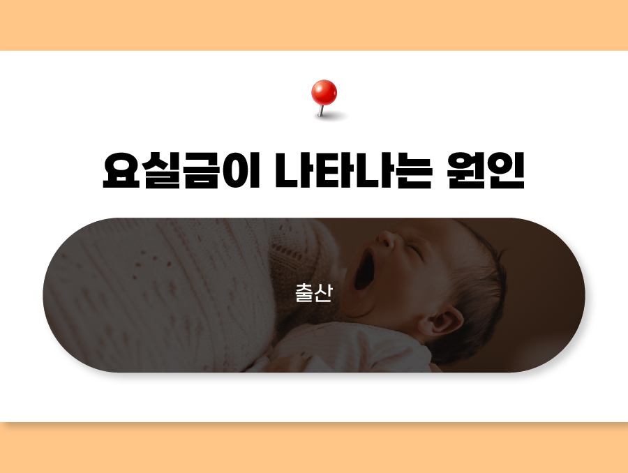 퀸즈파크 여성병원 이미지