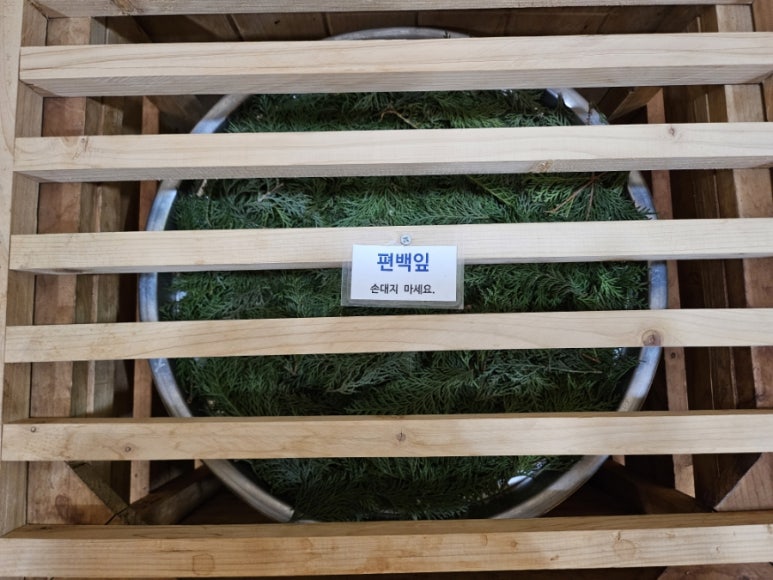 솔잎체험장 이미지