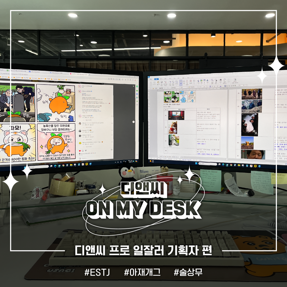 디앤씨기획 이미지
