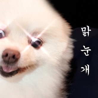 아는지인 이미지