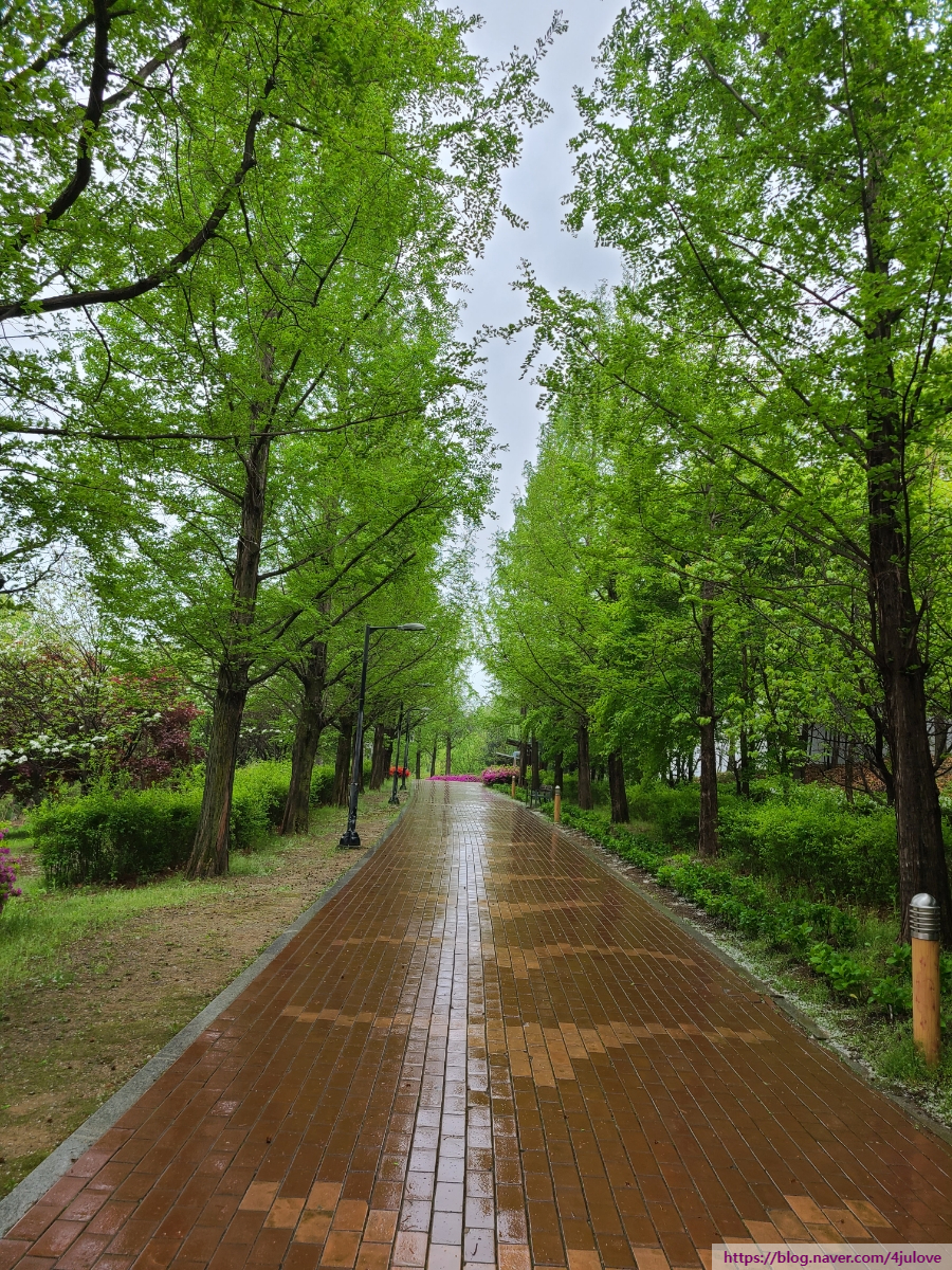 오동화랑 이미지