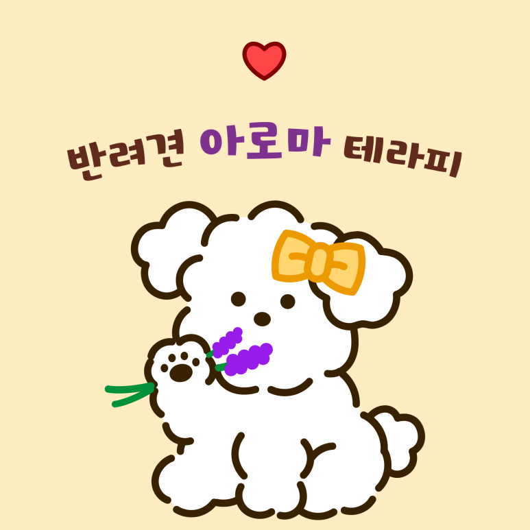 아로마테라피 이미지