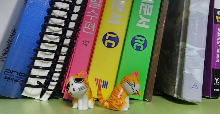 썸디 이미지