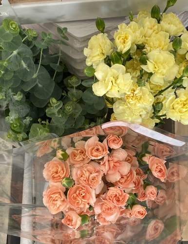 연수꽃식물원 이미지