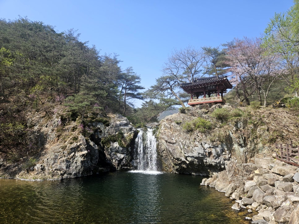 한들소머리국밥 이미지