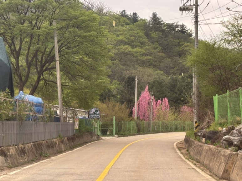 수피다캠핑장 이미지