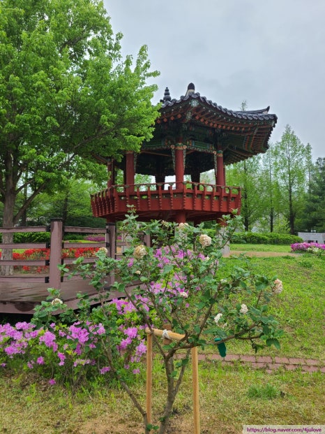오동화랑 이미지