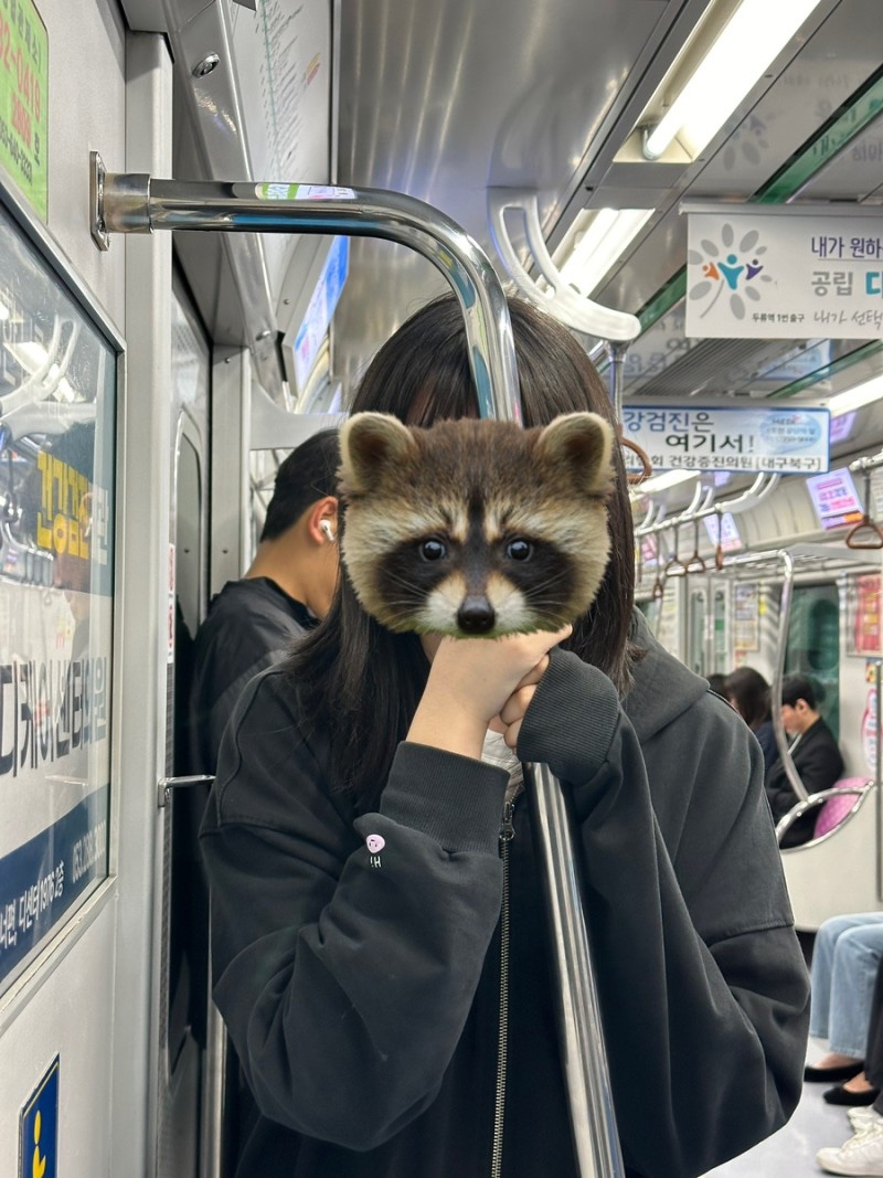 예인노래방 이미지