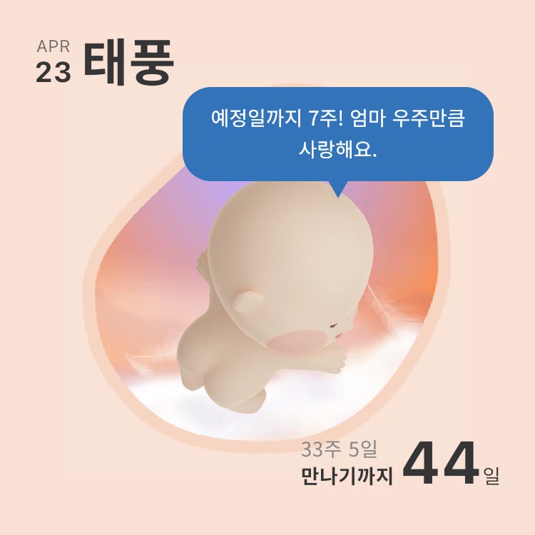 전원세탁소 이미지