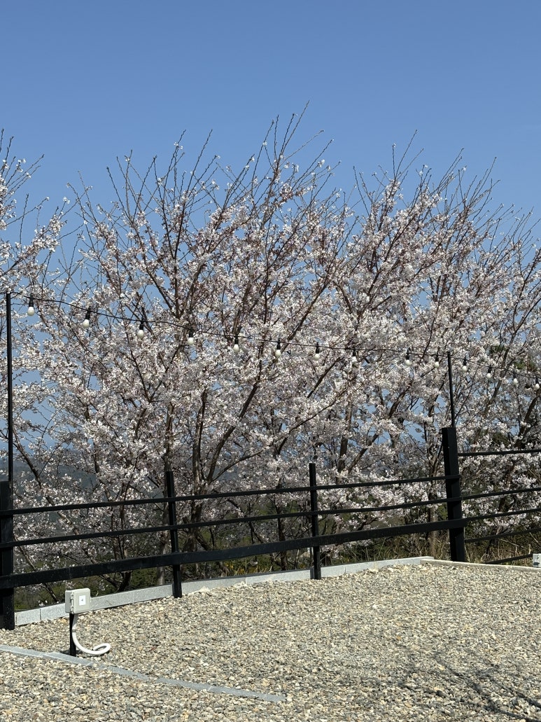 산바다캠핑장 이미지