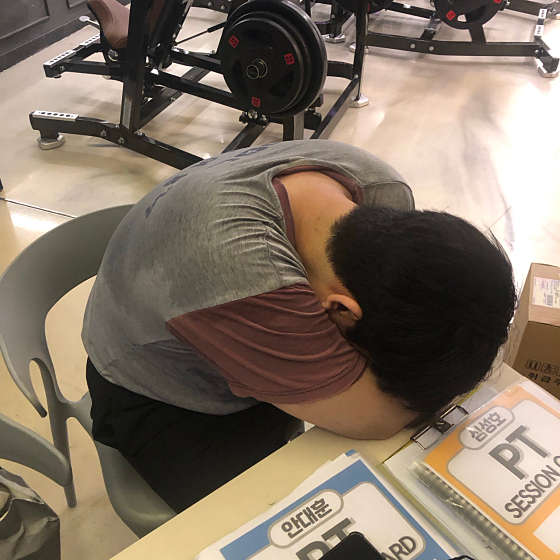 테라피티 이미지