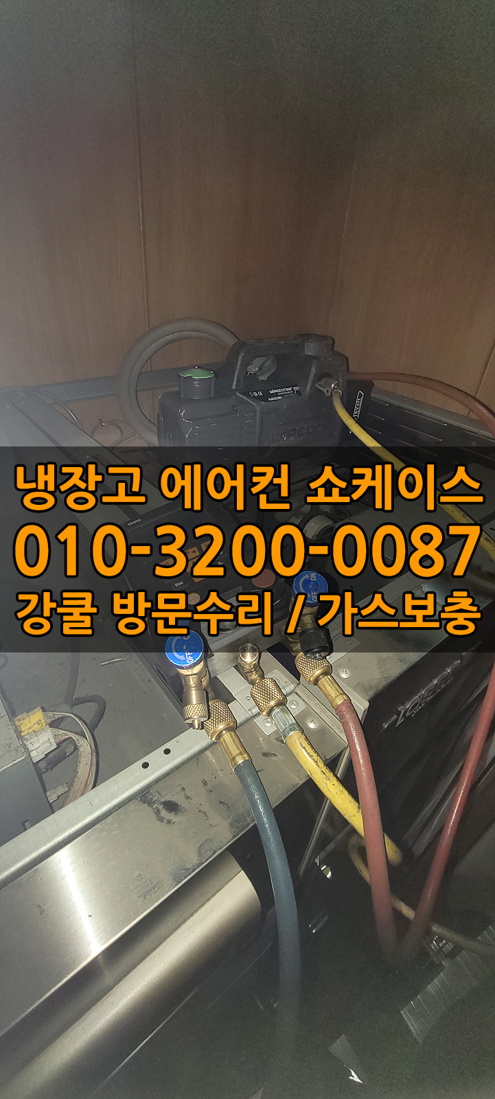 사리가스 이미지