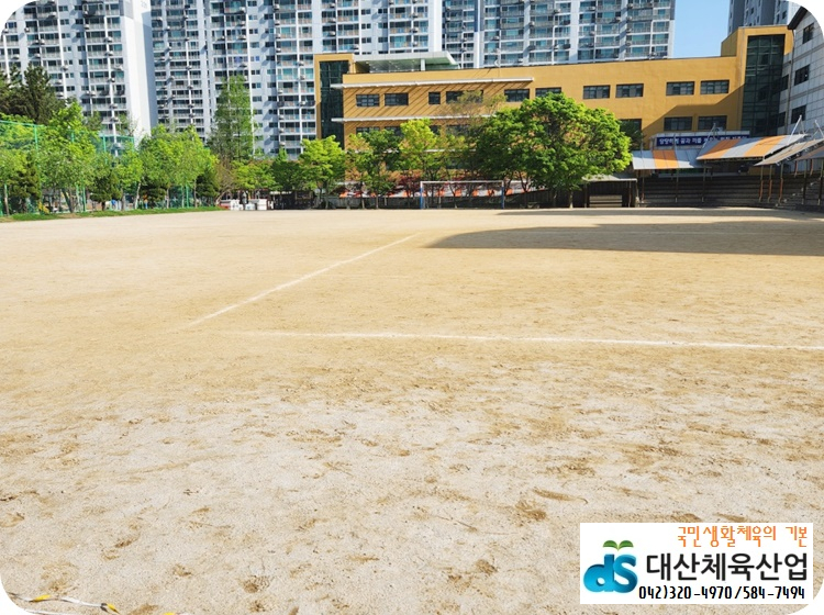 대산라인 이미지