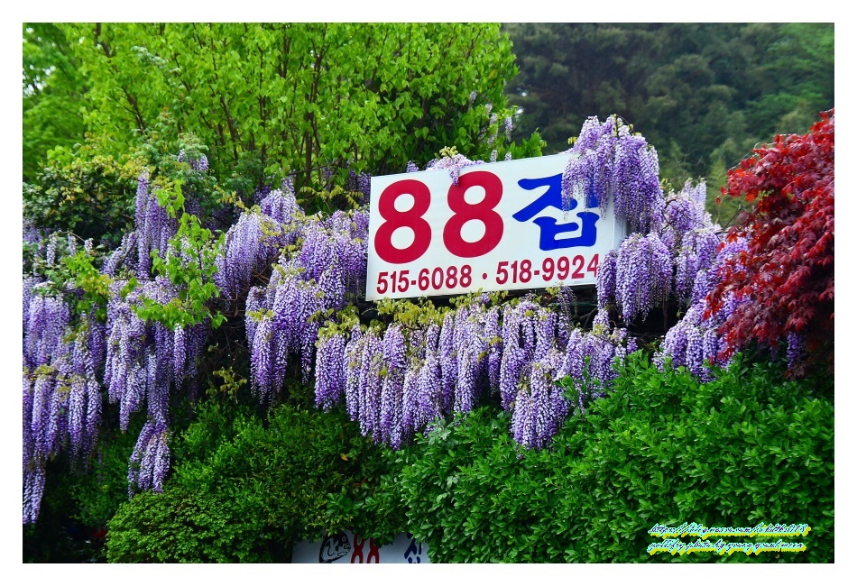 토속장마을 이미지