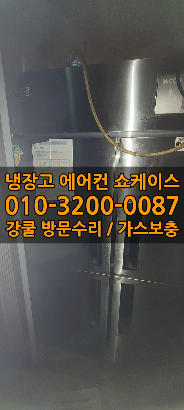 사리가스 이미지