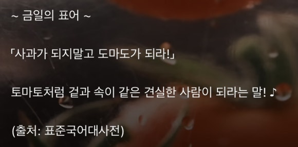 도마도마도 이미지