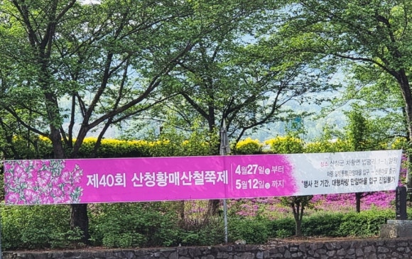 상순이네식당 이미지
