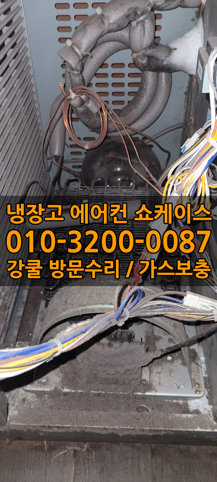 사리가스 이미지