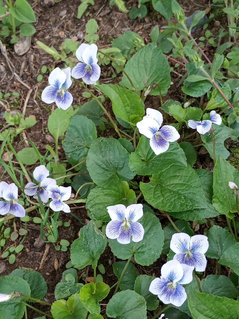 아진축산 이미지