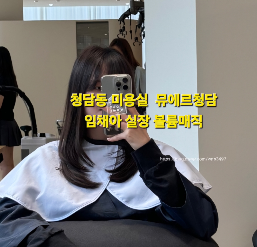 뮤에르 청담 이미지