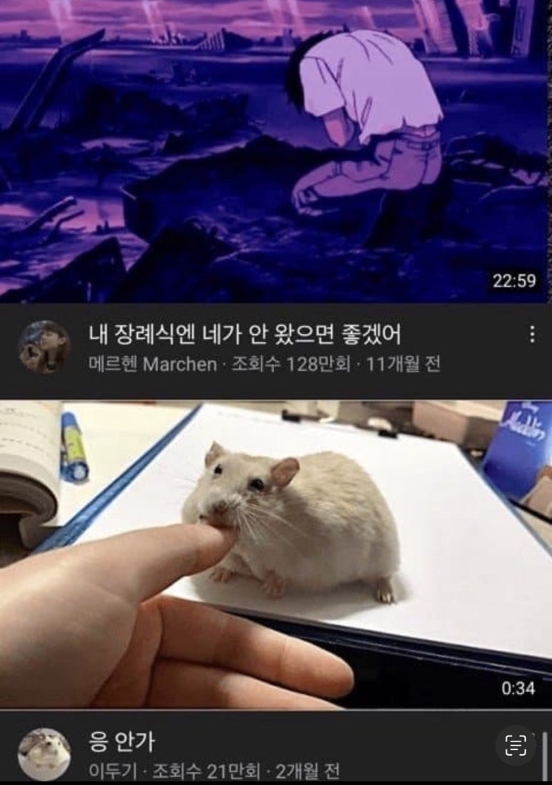 달달구리 이미지