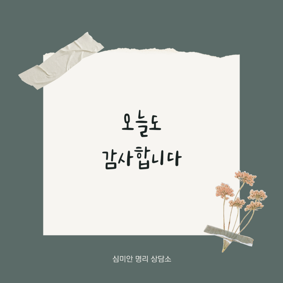 심미안학교 이미지