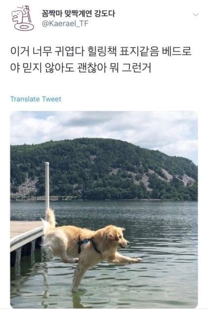 피식 이미지