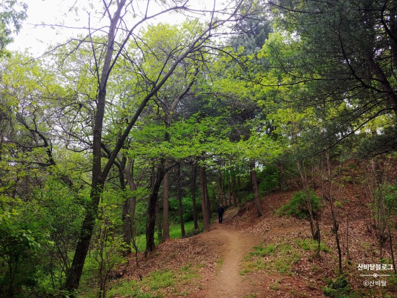고성산 조망 이미지
