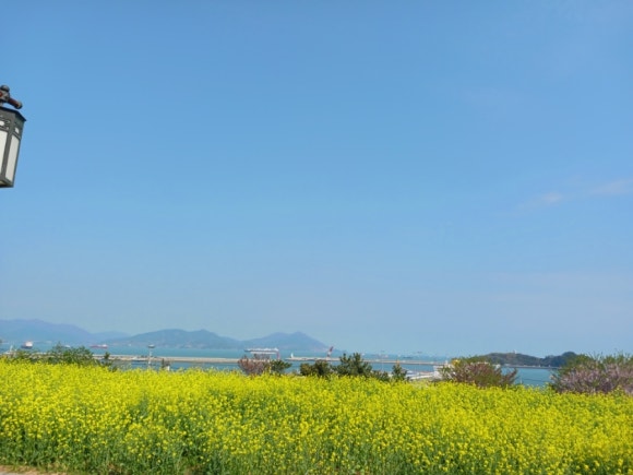 창조크린 이미지