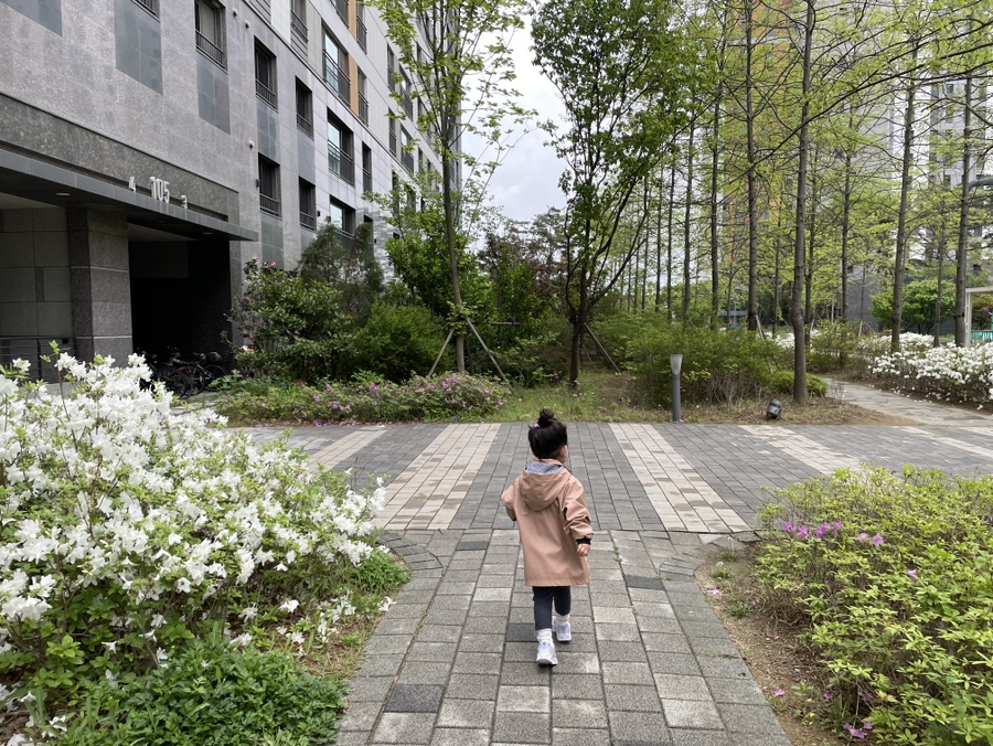 수풀림케이크 이미지