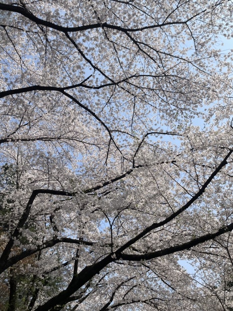 한성육개장;만두국 이미지