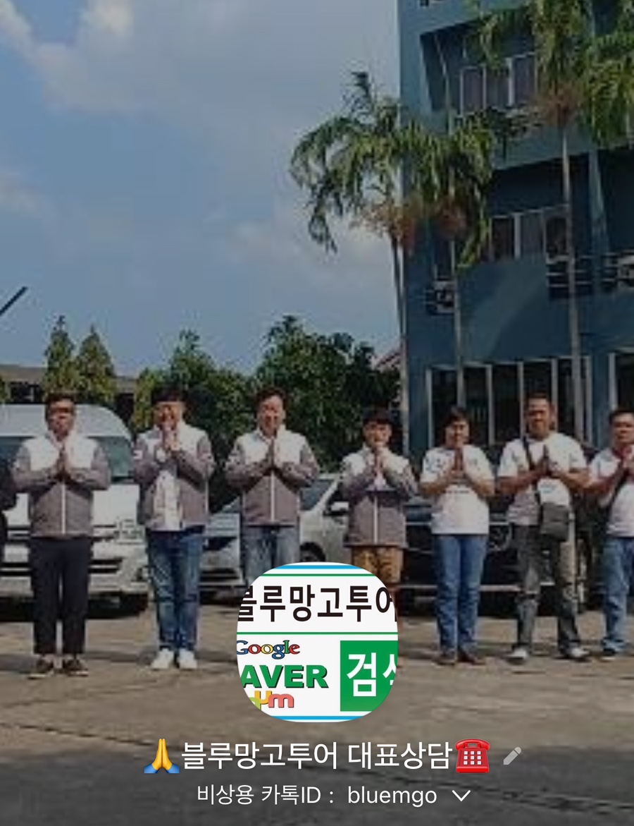 블루망고투어 이미지
