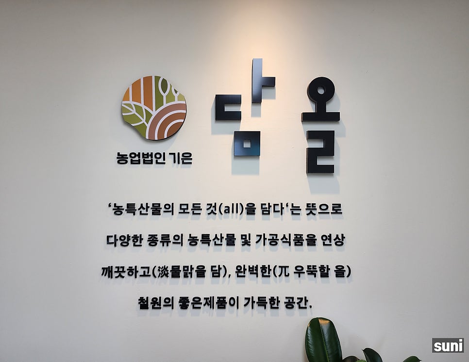 담올 이미지