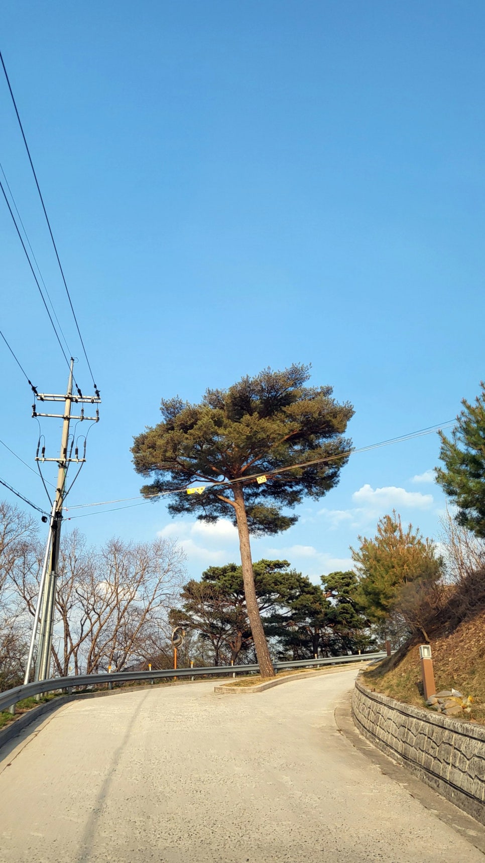 예미농협하나로마트 이미지