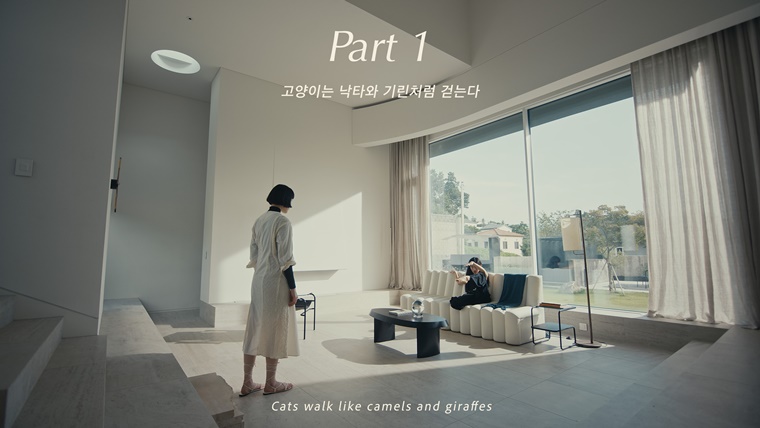 분더하우스 이미지