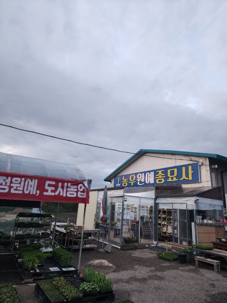 원주농협주유소 이미지