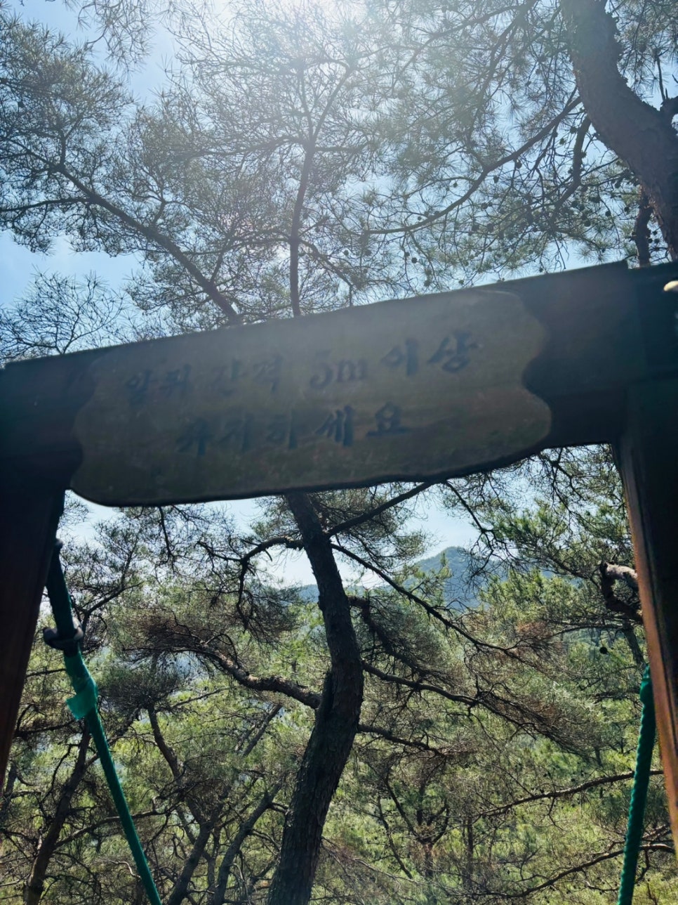 대운건축사사무소 이미지