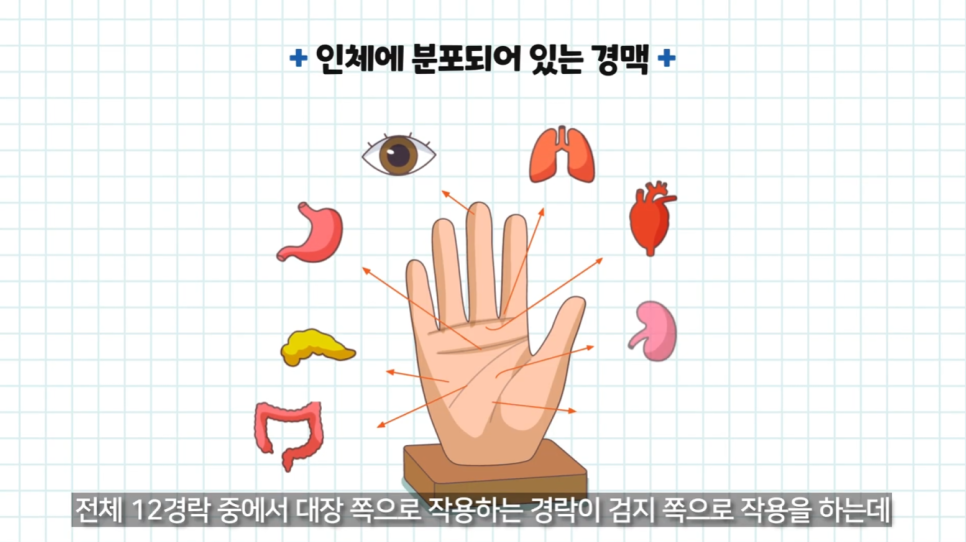 선운한방병원 이미지