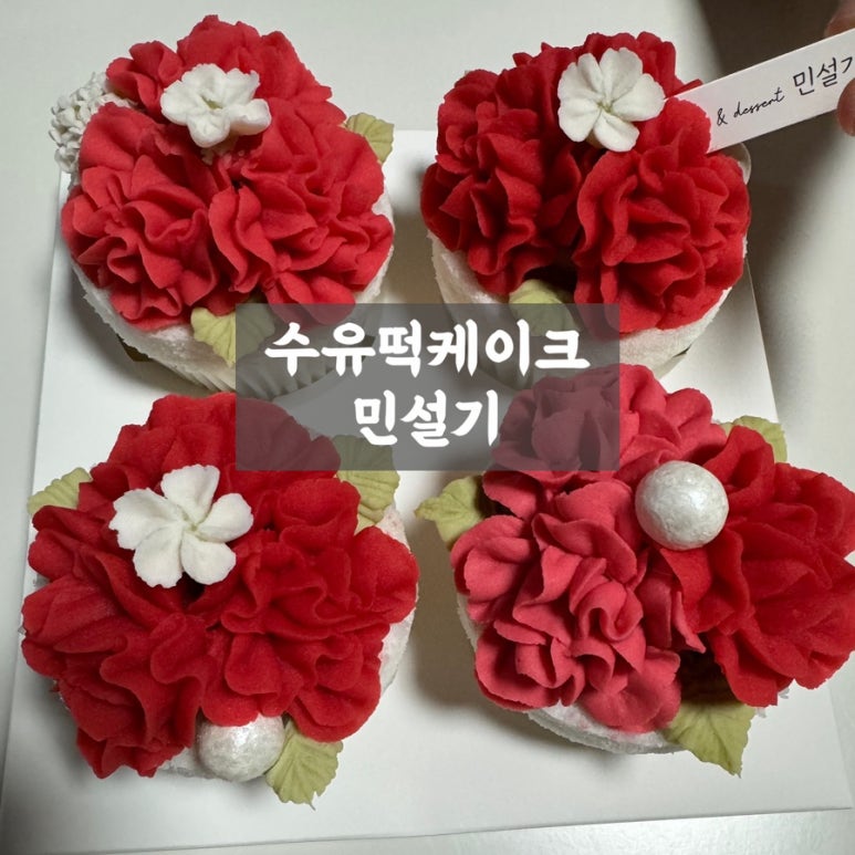 민설기 이미지