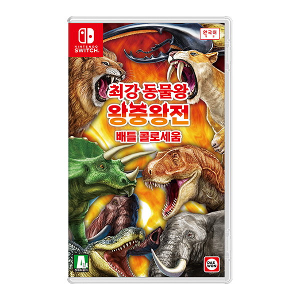 콜로세움제주 이미지