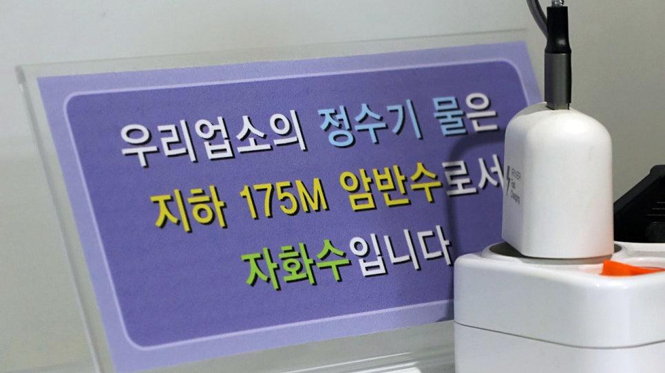 스테이포레스트 이미지