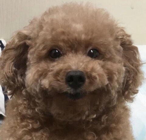 인자스튜디오 이미지